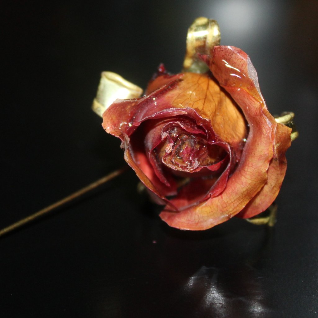 Estate Vintage Unique Preserved Dried Rose Pin